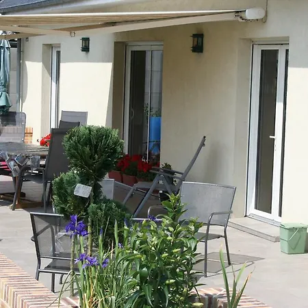 Les Iris De La Baie De Somme