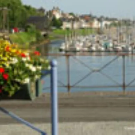Les Iris De La Baie De Somme Pende