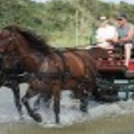 Bed & Breakfast Les Iris De La Baie De Somme 2*