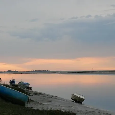 Les Iris De La Baie De Somme Pende