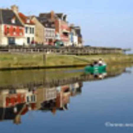 Les Iris De La Baie De Somme