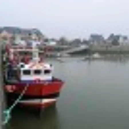 Les Iris De La Baie De Somme