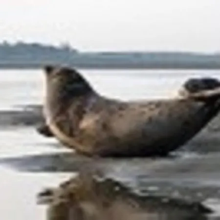 Bed & Breakfast Les Iris De La Baie De Somme