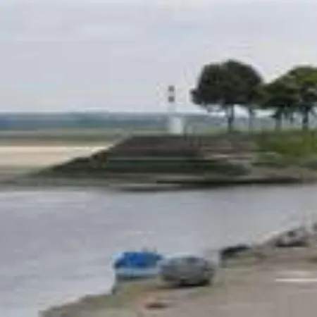 Les Iris De La Baie De Somme