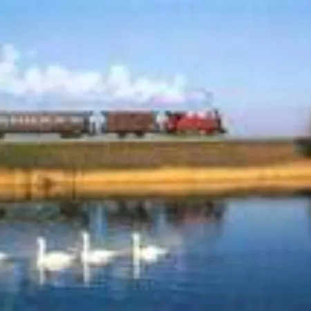 Les Iris De La Baie De Somme