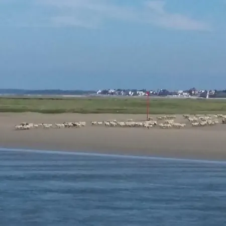 Bed & Breakfast Les Iris De La Baie De Somme Pende